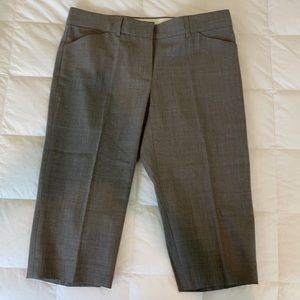 Theory Long Shorts Size 4 Women